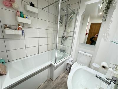 Picture 15